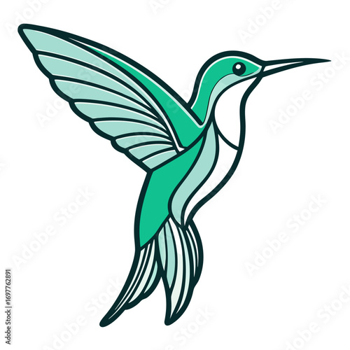 hummingbird vector illustration