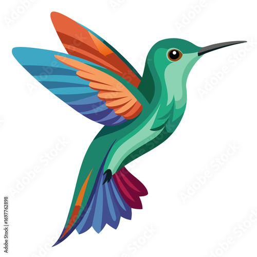 vector illustration of a bird