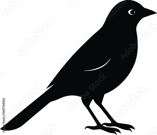 Lark bunting vector on transparent background