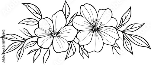 Delicate hand drawn outline floral arrangement with blossoms and leaves on white background