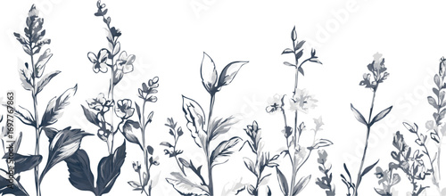 Delicate hand drawn botanical illustration of wildflowers and herbs on a white background
