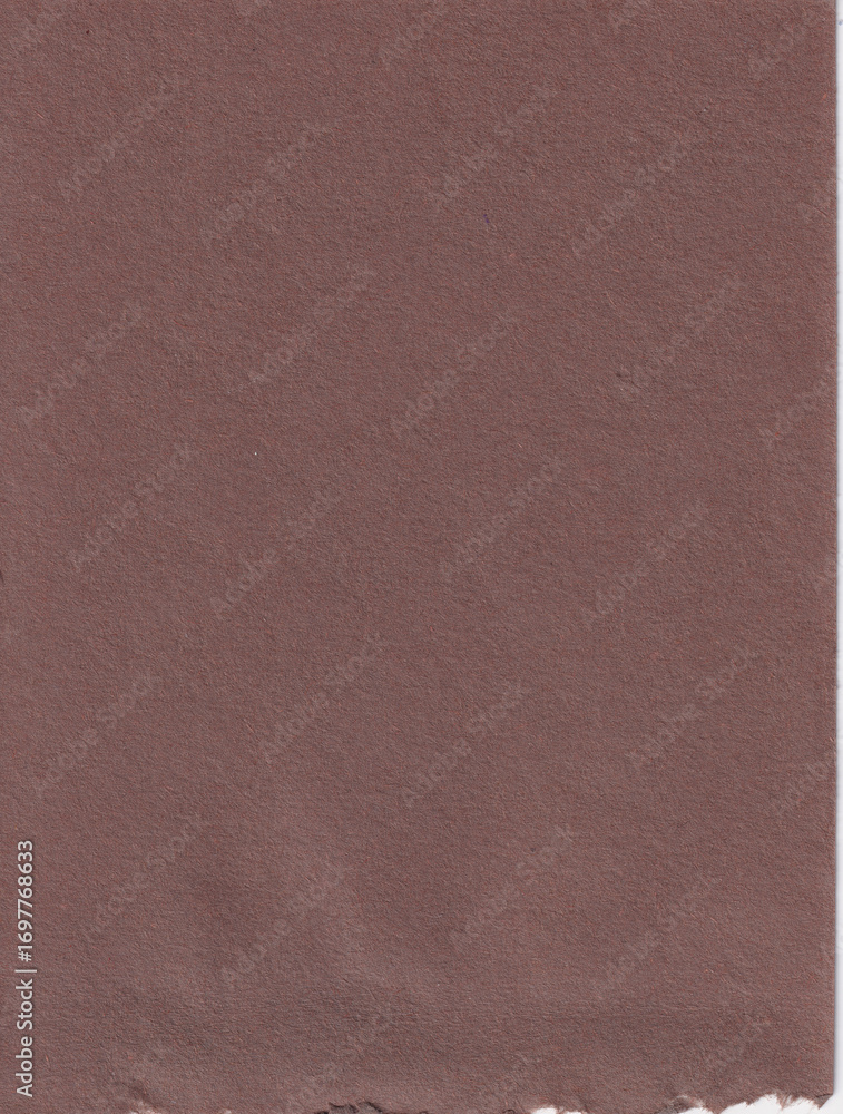 Fototapeta premium Paper Texture