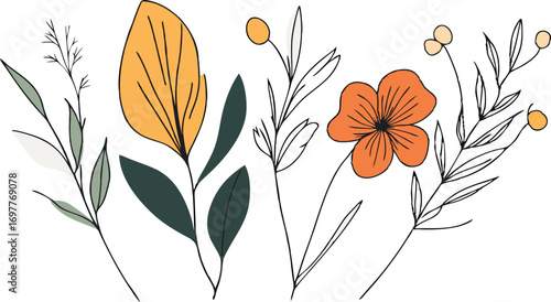 Delicate hand drawn botanical illustration of wildflowers and leaves with subtle color accents