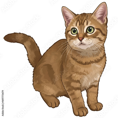 A curious cat, rendered in a realistic 2D vector illustration style, stands alert with wide eyes and perked ears, confidently isolated on a clean white background.