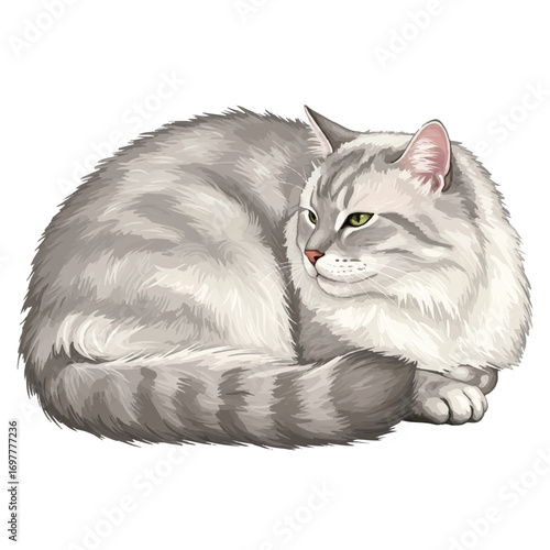 A serene, fluffy cat rests peacefully, portrayed in a realistic 2D vector illustration, isolated cleanly on a pure white background.