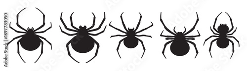 black widow silhouette white background vector illustration