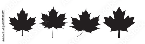 canadian maple leaf silhouette white background vector illustration