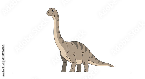 A tall brontosaurus dinosaur stands gracefully on a white background depicting its long neck and tail