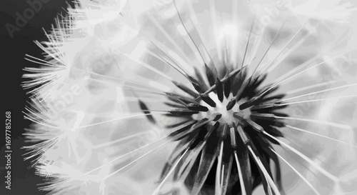 Closeup of a dandelion seed head in black and white showing intricate details and delicate structures perfect for botanical studies and naturethemed designs and projects