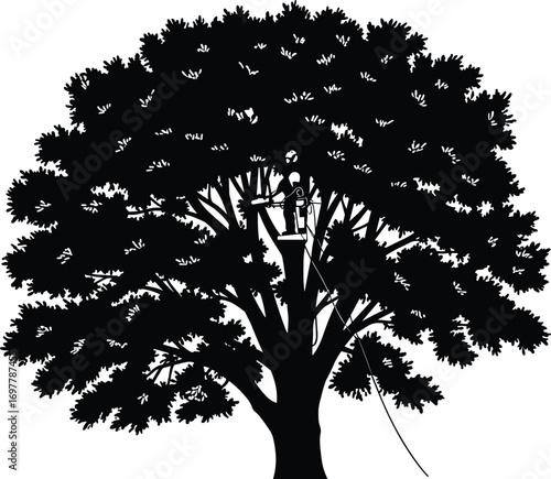 Arborist using lift to trim large tree, professional tree cutting service, safety gear, elevated work, outdoor arboriculture, tree maintenance