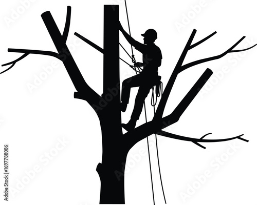 Silhouette of arborist climbing tree with safety harness, professional tree worker, tree trimming, outdoor work, forestry job, arboriculture safety