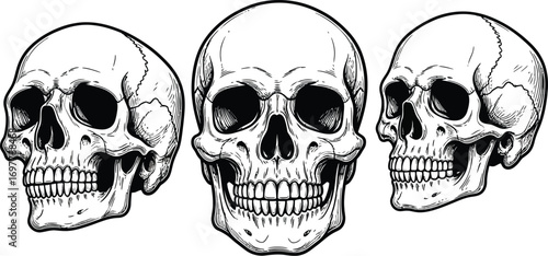 Three skulls in a row two in profile and one facing forward in black and white