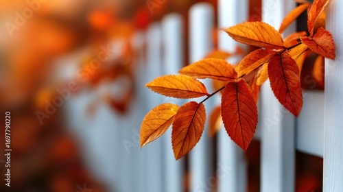 A picturesque scene with vibrant autumn leaves in shades of orange and yellow adorning a white wooden fence, symbolizing the beauty and transition of the fall season in nature.