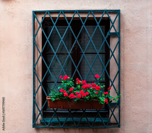 Vertical, barred window with black shutters, and a brown flowerpot with small red flowers on the grates.