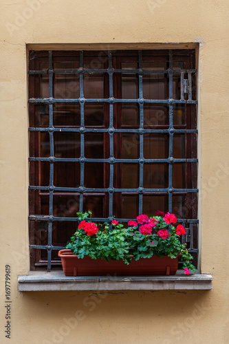 Vertical barred window in a delicately orange, ecru wall, with a white windowsill, on which there are small red flowers in a brown pot