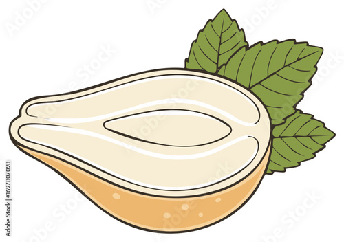 Chayote Squash Cross Section with Leaves Fresh Vegetable Illustration Nutritious Culinary Ingredient