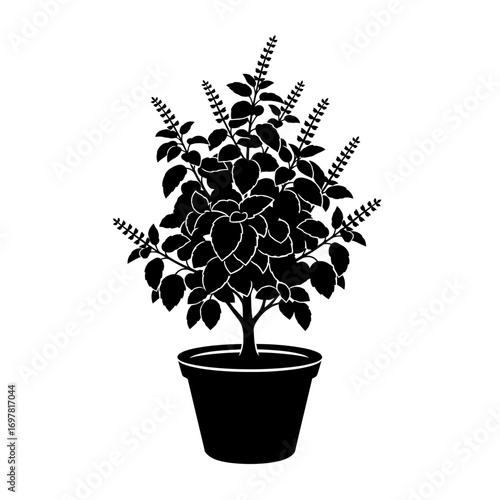A black silhouette illustration of a flowering Holy Basil or Tulsi plant growing in a simple pot.