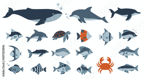 Collection of various marine animals including a whale, dolphins, sea turtle, crab, and an assortment of fish swimming in the ocean.
