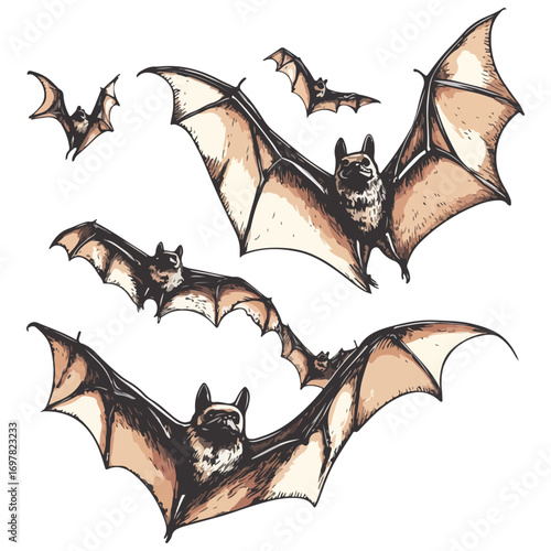 bat, animal, halloween, festival, decoration, vector, transparent background, horror, night, wings, wing, scary, dracula, vampire, dark, bats, a group of bats, icon, october, celebration, autumn