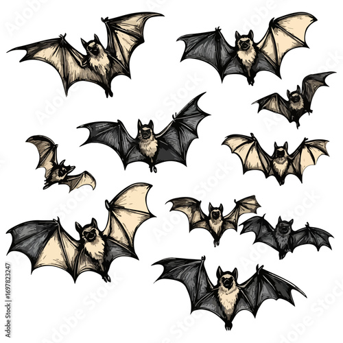 bat, animal, halloween, festival, decoration, vector, transparent background, horror, night, wings, wing, scary, dracula, vampire, dark, bats, a group of bats, icon, october, celebration, autumn
