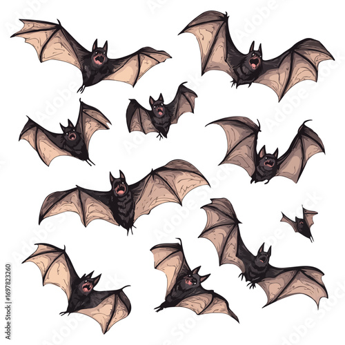 bat, animal, halloween, festival, decoration, vector, transparent background, horror, night, wings, wing, scary, dracula, vampire, dark, bats, a group of bats, icon, october, celebration, autumn