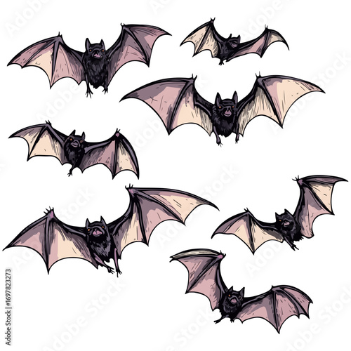 bat, animal, halloween, festival, decoration, vector, transparent background, horror, night, wings, wing, scary, dracula, vampire, dark, bats, a group of bats, icon, october, celebration, autumn