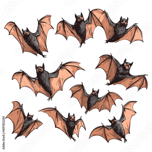 bat, animal, halloween, festival, decoration, vector, transparent background, horror, night, wings, wing, scary, dracula, vampire, dark, bats, a group of bats, icon, october, celebration, autumn