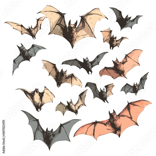 bat, animal, halloween, festival, decoration, vector, transparent background, horror, night, wings, wing, scary, dracula, vampire, dark, bats, a group of bats, icon, october, celebration, autumn