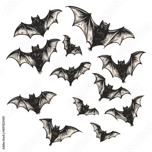 bat, animal, halloween, festival, decoration, vector, transparent background, horror, night, wings, wing, scary, dracula, vampire, dark, bats, a group of bats, icon, october, celebration, autumn