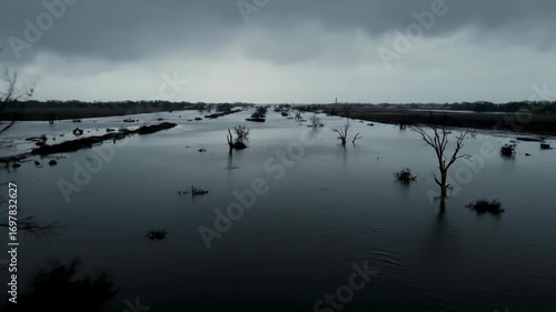 Serene Landscape with Flooded Fields and Overcast Sky View