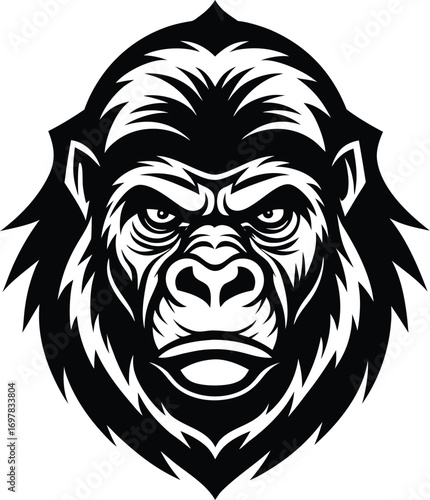 a wise old gorilla head logo  silverback  thoughtf.eps