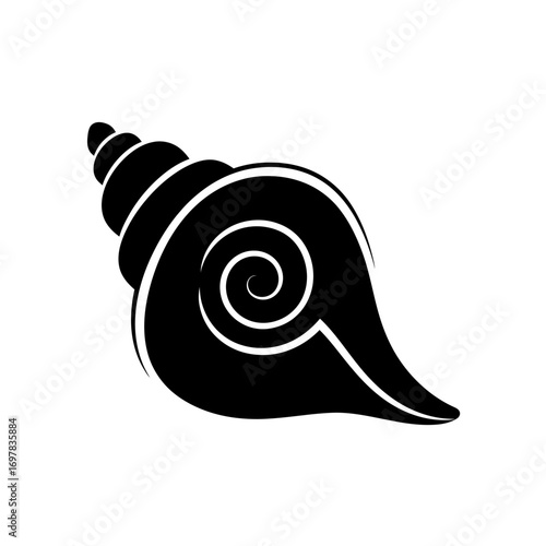 Silhouette of a detailed seashell, intricate spiral design.