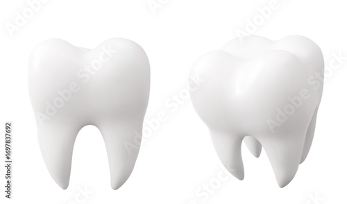 White tooth realistic 3d models with smooth enamel surface and anatomical roots for dental presentations. Clean molar with natural crown shape for medical education or orthodontic materials.