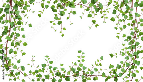 Green vines with small leaves hanging around a black background creating a frame effect for text