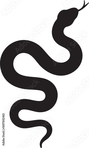 Snake silhouette reptile serpent viper black animal wildlife danger nature