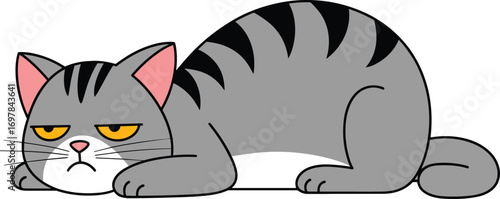 Grumpy gray tabby cat lying down, unhappy feline illustration, cartoon sad kitty vector, annoyed pet animal character isolated