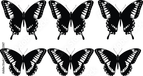 Black butterfly silhouettes, symmetrical wing patterns, white markings, insect vector design, nature icon set, entomology reference, isolated graphic illustration