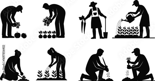 Silhouettes of people gardening, planting vegetables, harvesting crops, watering plants, and working in garden, farming vector illustration set.