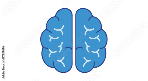Stylized representation of a human brain highlighting cognitive function and intellectual capacity, symbolizing intelligence and neurological study