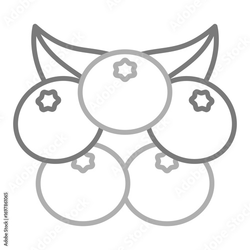 Berries Icon