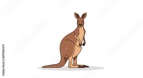 Cartoon kangaroo standing upright on a white background, illustration of marsupial animal with brown fur and distinctive posture, australian