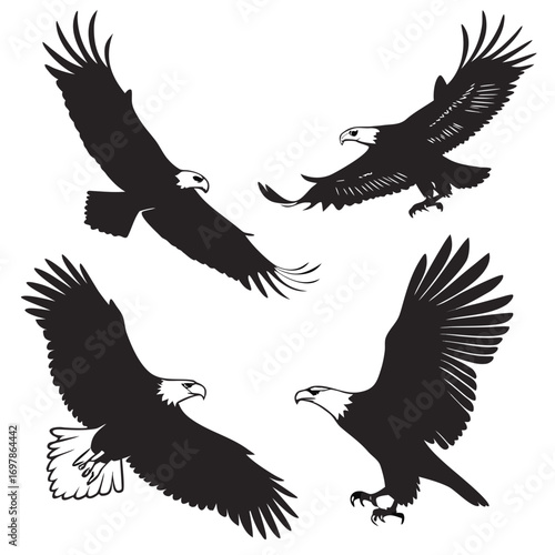 Four striking bald eagles in various poses of flight, their majestic presence captured in monochrome, a testament to natures artistry