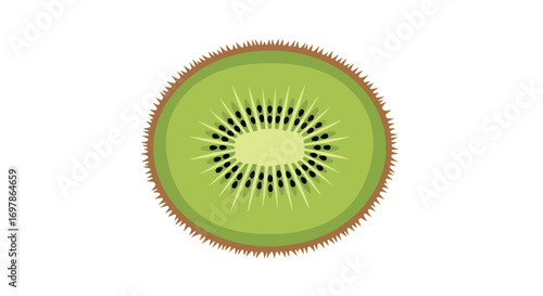 Isolated cross-section of a kiwi fruit showcasing the vibrant green flesh and black seeds with a furry brown peel around the edges