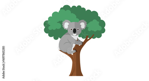 Stylized illustration of a koala perched on a tree branch against a white backdrop depicting Australian wildlife in a serene outdoor setting