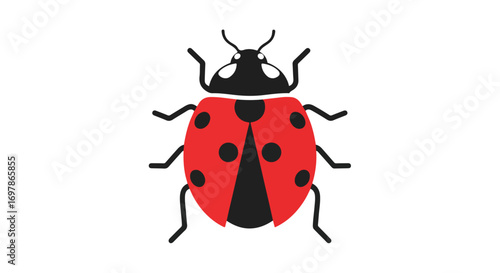 Stylized illustration of a ladybug with red wing cases adorned with black spots against a white background making it clean simple and attractive