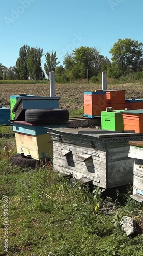Apiary. Bees collect honey in honeycombs. Modern hives with honeycombs. The product of bees' vital activity is honey.