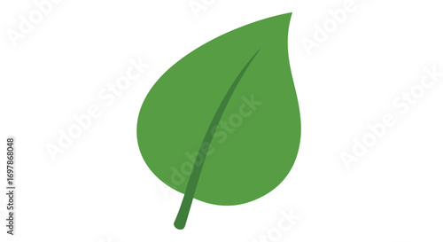 Stylized botanical illustration showcasing a vibrant green leaf with a prominent vein, isolated against a pristine white background showcasing