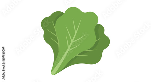 Illustrative depiction of fresh green lettuce leaves, ideal for culinary projects and health-conscious design, conveying natural freshness and