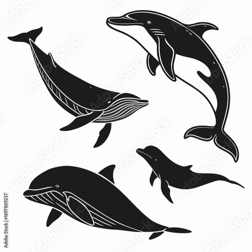 Collection of stylized black silhouette illustrations of various whale and dolphin species swimming in the ocean