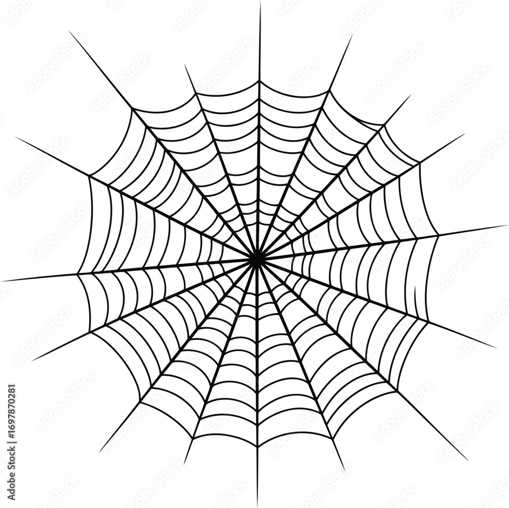 Fototapeta premium Intricate spiderweb art graphic design natural insect web decoration vector